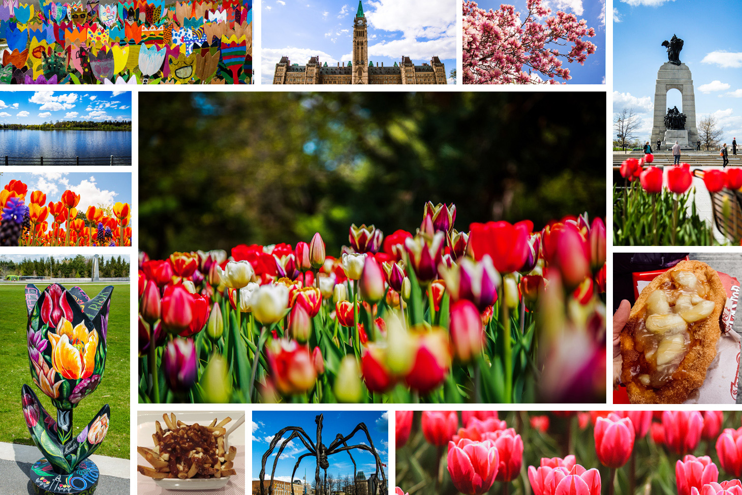 Canadian Tulip Festival in Ottawa, ON